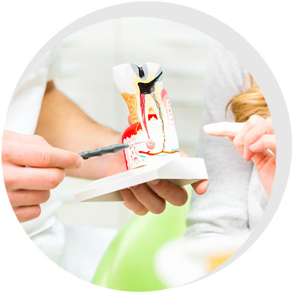 Seiker Zahnärzte Celle - Leistungen: Endodontie